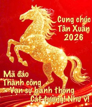 5 tầng lung linh, full nội thất, 50m2(4x12.5), hẻm 8m khu phân lô, hl2 nối dài tây lân bình tân