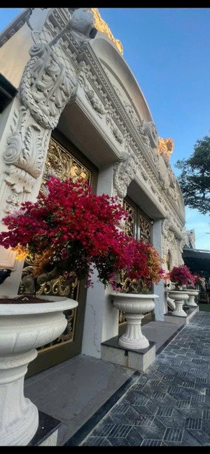 siêu biệt thự cổ điển, 6 tầng, phường an lạc, tphcm.