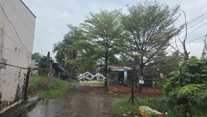 11.300m (có 2.500m thổ cư), 150 phòng trọ,/ 150 triệu/tháng, , chỉ 220 tỷ. bình chánh.