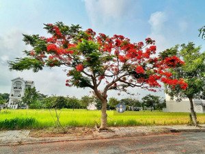 chính chủ gửi bán lô duy nhất khu a6 6x20m, 120m2 giá 60 triệu/m2 có sổ đỏ. lh tuấn 