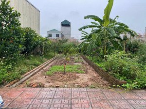 lô đất nhỏ mà mặt tiền lại khá to. dv sp 50m