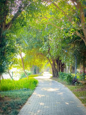 bán biệt thự đơn lập vườn tùng view cluphouse, nhà mới, sổ đỏ sẵn. liên hệ: 0