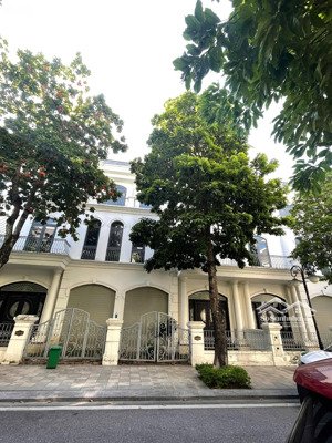 bán gấp liền kề hoa hồng 122,5m2 vinhomes star city thanh hoá giá chỉ 8.x tỷ