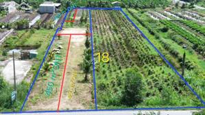 Bán đất mặt tiền tỉnh lộ 818 , xã Tân Thành, huyện Thủ Thừa dt 1926m2 ( có 1080m2 thổ ) giá 7,5 tỷ