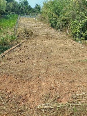 bán đất 300m2 tại 1/tỉnh lộ 7 gần cây trôm mỹ khánh, giá chỉ với 2,45 tỷ