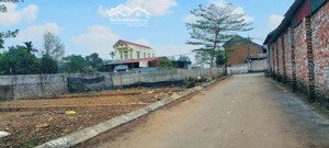 chỉ hơn 2 tỷ chút sở hữu ngay 76m2 đường ô tô tránh nhau ngay đường 420. 