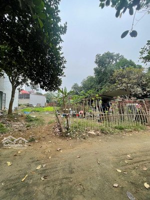 hàng hiếm ạ! 136m đất tân xã ngay trục đường nhựa liên thôn mà giá chỉ hơn 30tr1m. lh. 