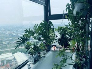 cần bán căn 80m2 full đồ vị trí góc view 360 độ đẹp, giá rẻ 5.8 tỷ bao phí haven - ecopark