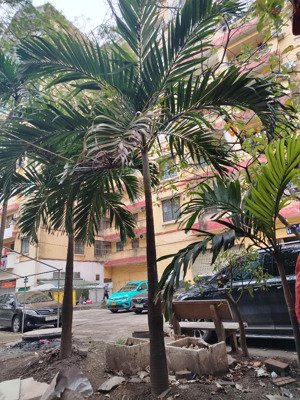 bán căn hộ chung cư 3 pn tại khu đô thị mới định công