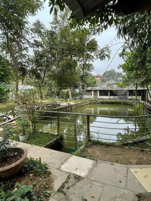 đầu xuân khai trương bính ngọ 2026 em có mảnh đất cực đẹp mua đất tặng nhà tại sóc sơn-hà nội