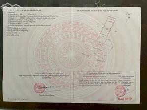 Bán đất tại Đường 919, Xã Trường Xuân, Huyện Thới Lai