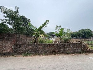 bán đất tại minh phú, sóc sơn, hà nội, giá cực chất 2,78 tỷ, diện tích 106m2