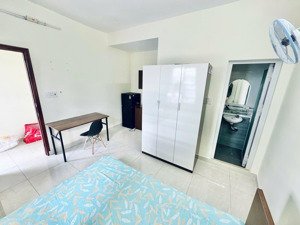 cho thuê chung cư mini 29m2, 4,8 triệu, nguyễn biểu, vị trí ngay cầu chữ y