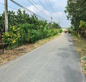 bán gấp lô đất 1242m2 đường 761 an nhơn tây, full thổ cư giá rẻ nhất khu vực