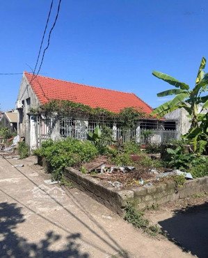 bán đất đẹp lô góc đường thông nhị khê. vài bước ra vành đai 4, tổ hơp vin.chỉ 3.x ty