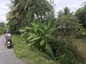 Bán đất Nhị Bình, Cách Chợ Trường Học 1km, Xe Hơi Tới đất - Chỉ 750 Triệu đồng - Có Thương Lượng