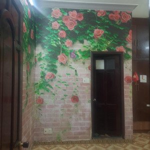 cho thuê nhà nguyên căn gần sân bay tân sơn nhất hẻm rộng 5m phù hợp ở & làm văn phòng đị