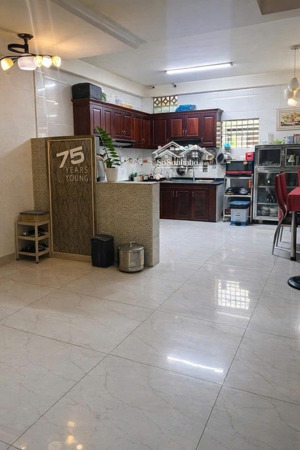 đầu niên đón mã vận may tài lộc - mặt tiền đào duy từ - quận 10 - 6 tầng 74m2 nở hậu