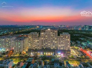 cho thuê ch mia sài gòn 1pn-2pn-3pn