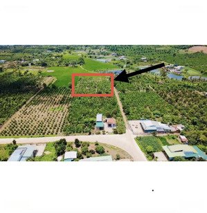 đất sào có thổ cư xã eakmut - daklak