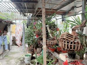 Siêu hời. Chủ cần bán gấp nhà phố Hoàng Hoa Thám 54m2, 4t, mt 6m, giá đầu tư