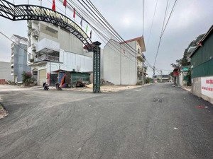 bán lô đất đấu giá 58.5m đình quãng . phượng mỹ , thanh oai