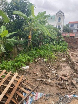 chủ cần bán lô đất thổ cư đồng mai