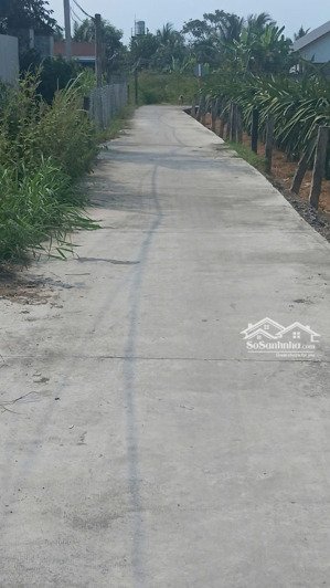 hẻm ôtô châu thị kim an vĩnh ngãi - chỉ 519 triệu đồng / nền