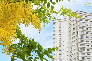 cho thuê căn hộ 88m2, trống sẵn tiện xem, nhiều sự lựa chọn tốt. giá chỉ từ 10,5tr/th. 