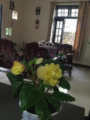 bán căn nhà vườn mt đường hải thượng lãn ông - hội an - dt 10x30m giá 12 tỷ