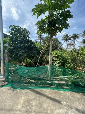 Bán đất Diên Lạc giá rẻ thôn Thanh Minh 2 - khu dân cư an ninh