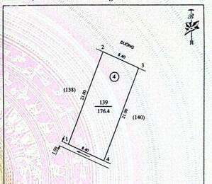MẶT ĐƯỜNG ĐẬU YÊN- TRUNG ĐÔ
