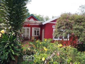 cho thuê nhà nguyên căn - có sân vườn - 4 p.ngủ - đường hoàng hoa thám - p.10 - đà lạt- 13 tr/tháng