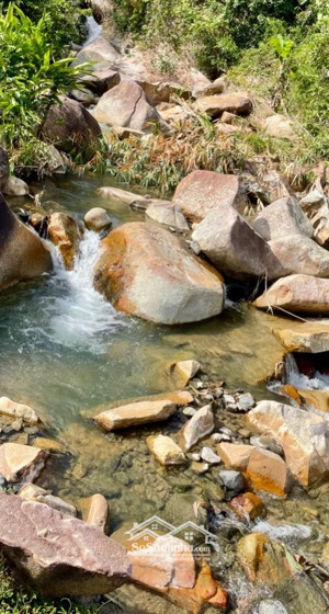 bđs sinh thái - nghỉ dưỡng- farm