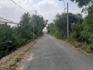 3,2công đất mặt tiền huyện lộ 38,Tam Hiệp,Châu Thành,Tiền Giang.