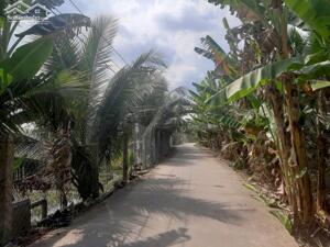 3công vườn đường Long Điền,Tam Hiệp,Châu Thành,Tiền Giang.