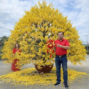 nhà 48m2 nở hậu, xe hơi vf5 đậu cửa- sát hẻm xe tải nơ trang long p.13 bình thạnh 6.x tl