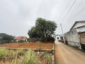 du xuân, đón lộc 200m2, chỉ loanh quanh 4 tỷ