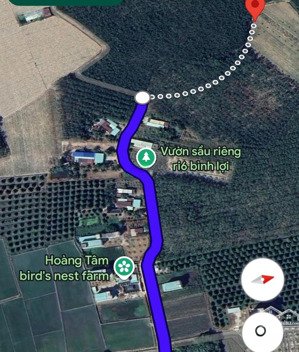 bán đất vườn tại ấp bình lợi, hảo đước, 379 triệu, 1000 m2 có 50 m2 thổ cư, pháp lý đầy đủ