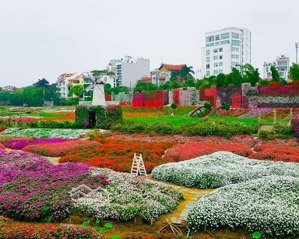 bán tòa nhà lô góc 9 tầng (có hầm) phường tây hồ view hồ tây cực đẹp