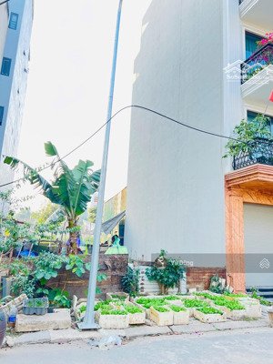 bán đất dịch vụ phú vinh 45m², mặt tiền 4,35m. gần vành đai 3.5 và 4. tiềm năng tăng giá cao