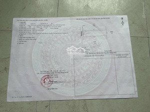 cần bán đất điện dương 390m2 10x39m dt nhà vườn, gần biển, gần chợ trường, kdc hiện hữu đông đúc