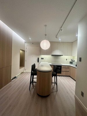 cho thuê 2pn full nội thất ở ngay