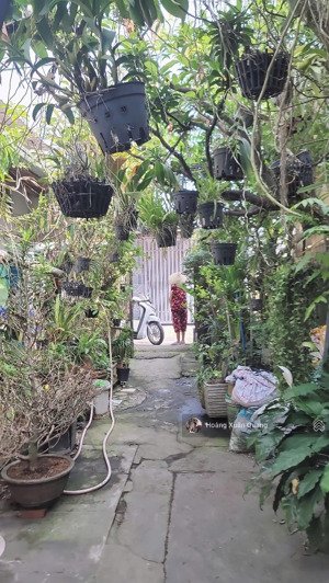 179m (~32tr/m) full thổ cư - ngang 8,1m nhà c4 + 4 phòng trọ - bà điểm hóc môn