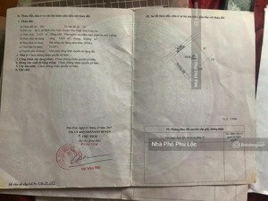 bán đất bình hoà nam, đức huệ, long an (cũ) dt: 11404m2 giá chỉ 3 tỷ/mẫu. có sẵn vườn mai 3 năm