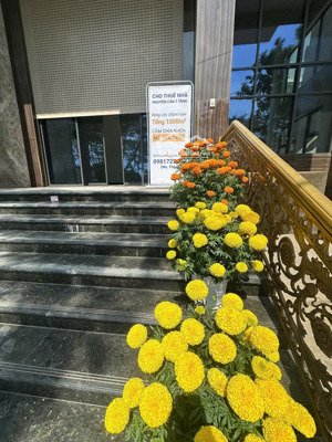 cho thuê nguyên tòa nhà 07 tầng mặt sông sài gòn rộng lớn trần quý kiên