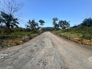 view nghỉ dưỡng siêu đẹp lô góc 3 mặt thoáng giữa lõi đô thị vệ tinh hòa lạc