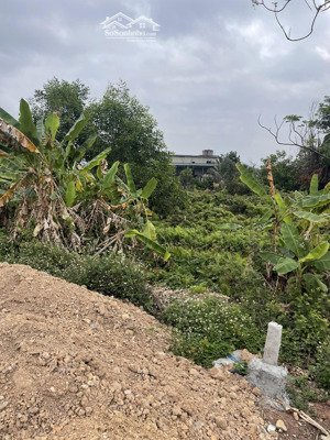 đất lô góc (3 mặt thoáng) hướng sông bạch đằng