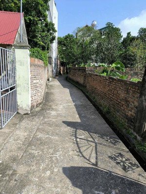 - bán đất 65m quán khê dương quang gia lâm giá chỉ 2.9 tỷ