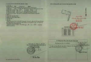 bán gấp đất tại tô vĩnh diện, đông hòa, dĩ an, bình dương, 6 tỷ, 127m2